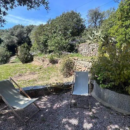 Dans T2 - Terrasse - Parking - 350 Mètres De La à Pied Appartamento Cargèse